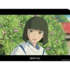 Maison Ghibli A4 Size Clear Folder Haku - Sprited Away Discount