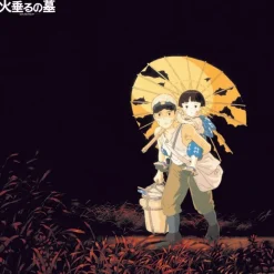 Maison Ghibli Lp Background Music - Grave Of The Fireflies