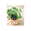 Maison Ghibli Planter Jiji -Kiki'S Delivery Service Hot