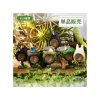 Maison Ghibli Pose Collection Totoro Assortment Of 6 Rings - My Neighbor Totoro New